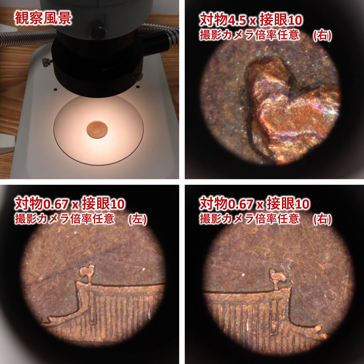 Olympus SZ-61 Stereo Microscope [r1219695132]