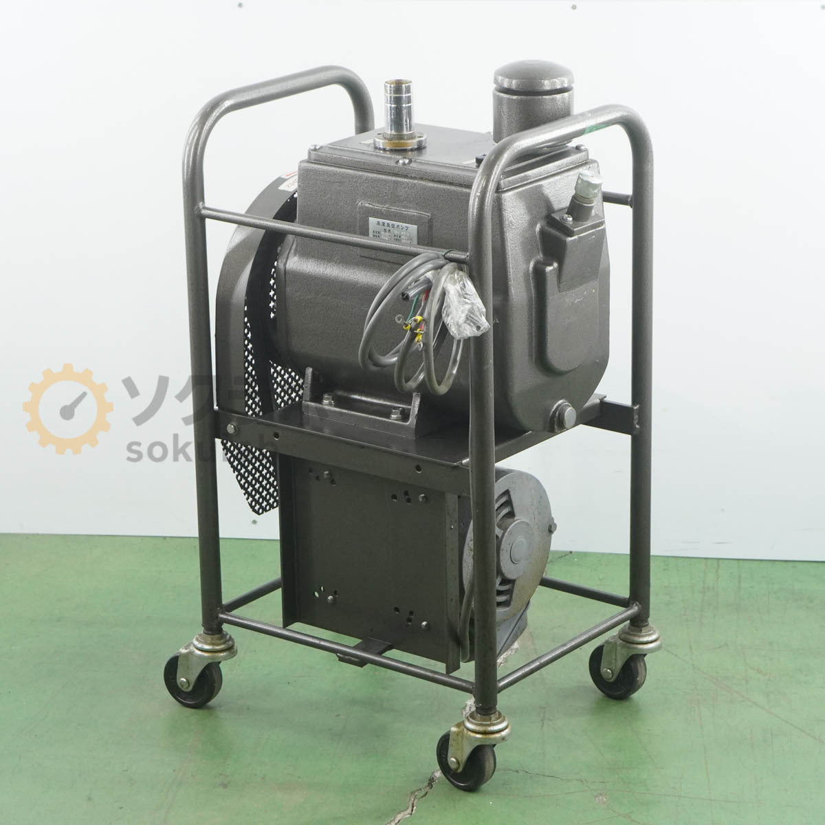 Ikeda Rika TSW-650 Sato Vacuum Advanced Vacuum Pump [r1220256179]