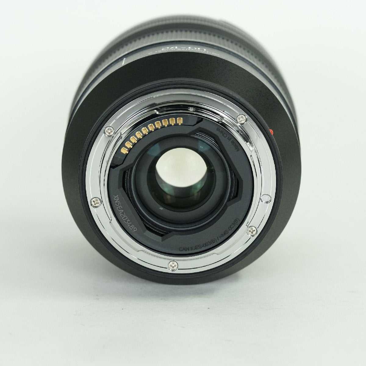 Panasonic LUMIX S 24-60mm F2.8 LEICA L Mount Lens [x1220340485]