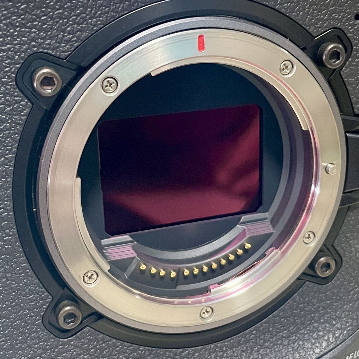 Canon EOS C80 [v1240157024]