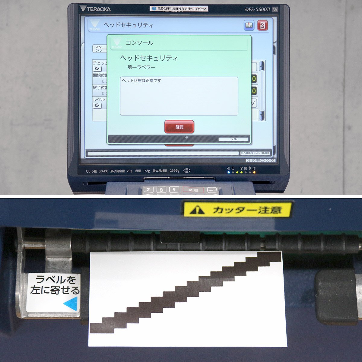 TERAOKA DPS-5600ll Label Printer with Weighing Function 300mm Width [m1240245886]