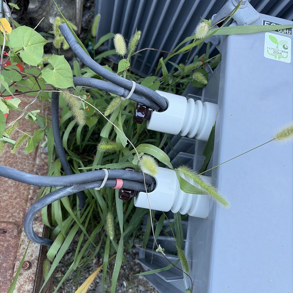 Mitsubishi Electric 50kVA Single Phase Transformer 6600V 210/105V 60Hz Oil-Immersed Self-Cooling 2021 Model [k1242046808]