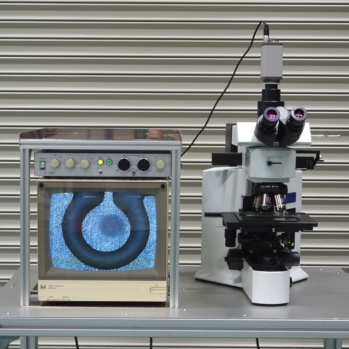 Olympus BX51TRF Microscope with 5 Objective Lenses and CCD Camera (as-is) [w1246247322]