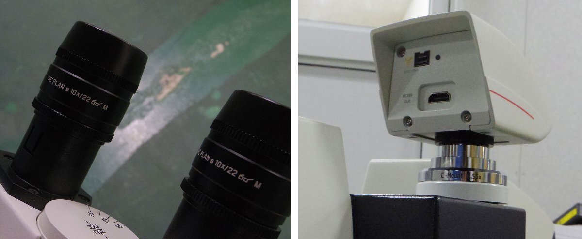 Leica FS CB Comparison Microscope DM2500 FS4000 with DFC290HD Digital Camera [f1221607675]