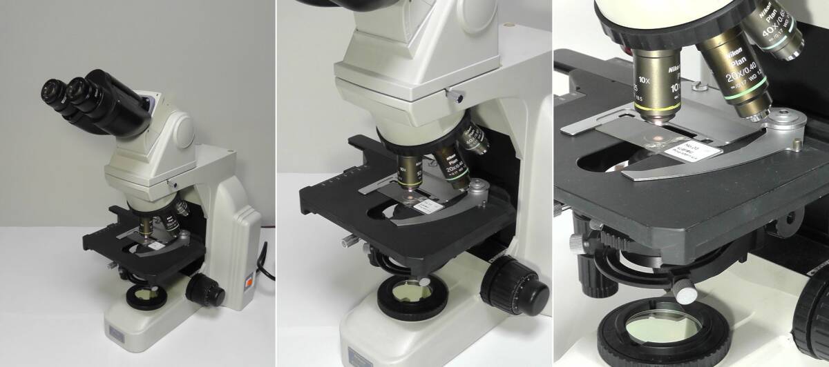 Nikon ECLIPSE E400 Biological Microscope [x1248470801]