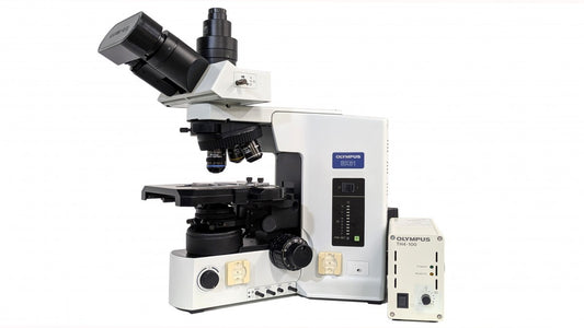 Olympus BX51TF Biological Phase Contrast Microscope [r1188113847]
