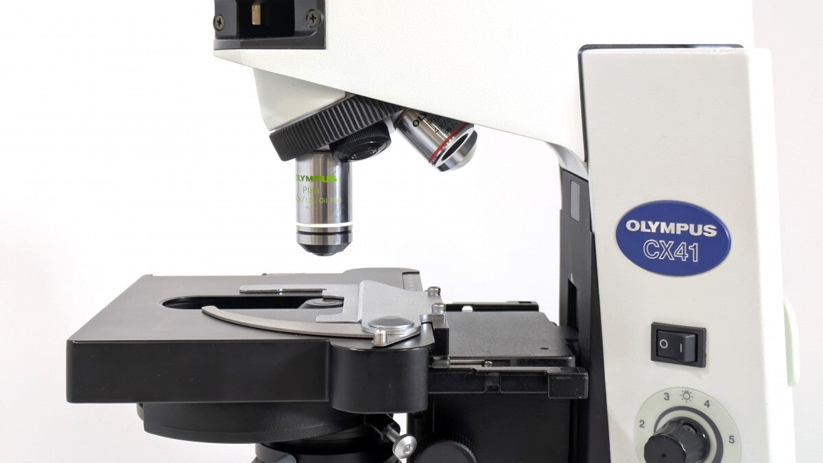 Olympus CX41LF Biological Phase Contrast Microscope [1189427911]