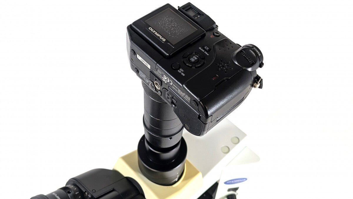 Olympus CX41LF Biological Phase Contrast Microscope [1189427911]