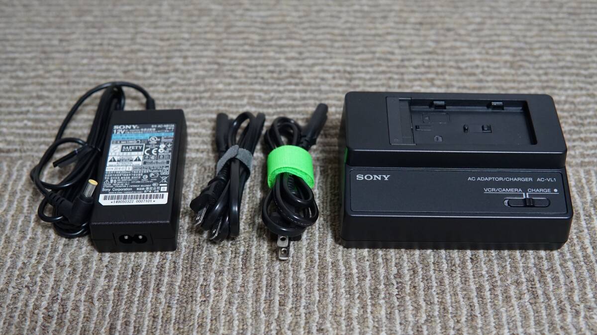 SONY FDR-AX1 Video Camera Recorder [m1198954712]