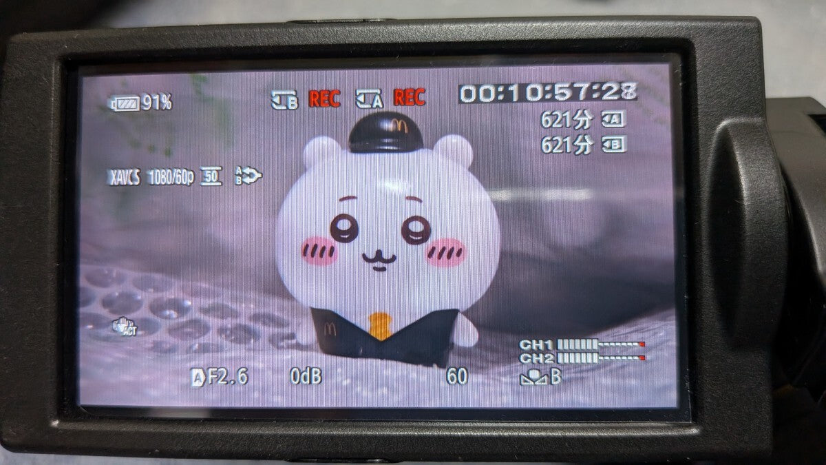 Sony HXR-NX3 [1238123349]