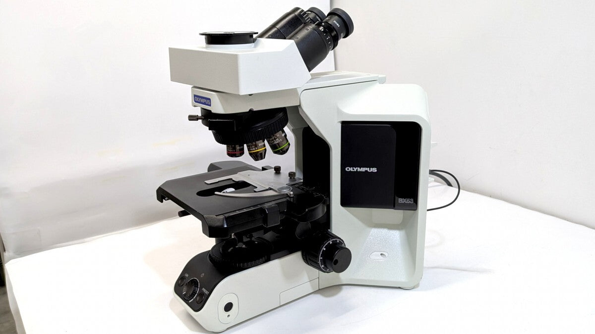 Olympus BX53 BX53F2 System Microscope Trinocular [w1238588306]