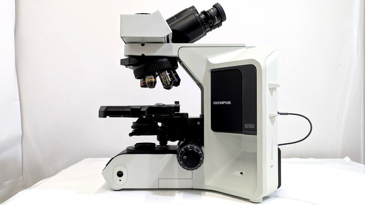 Olympus BX53 BX53F2 System Microscope Trinocular [w1238588306]