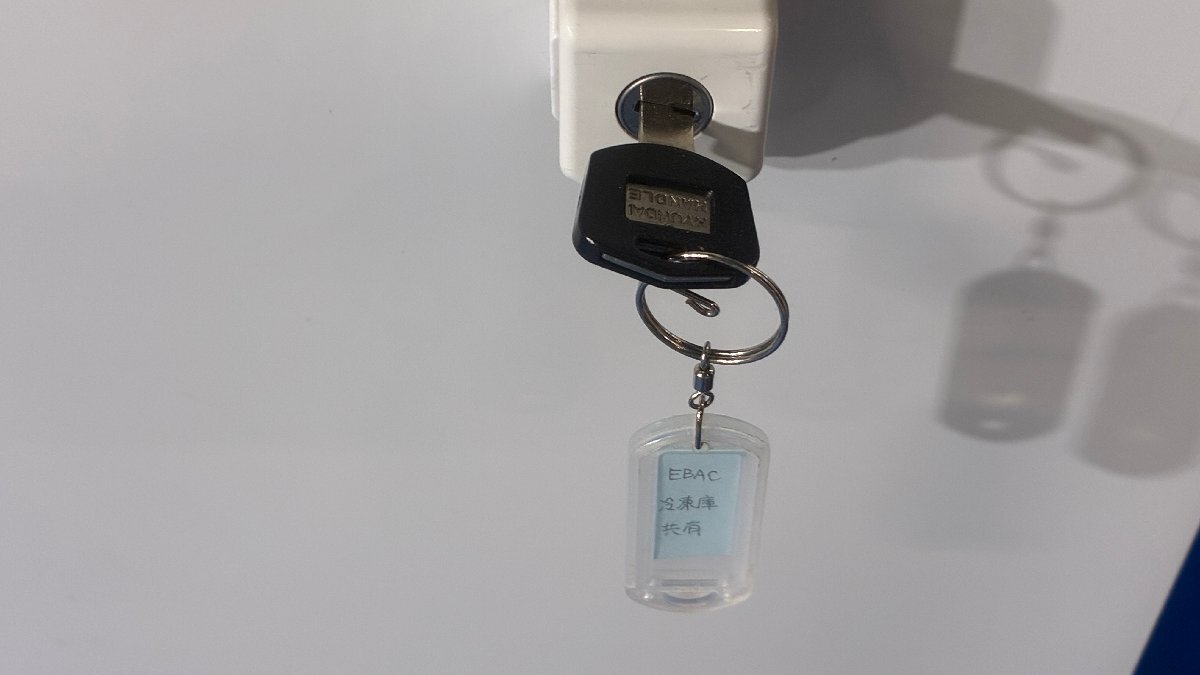 EBAC ECVD-24W70 Freezer [q1240103232]