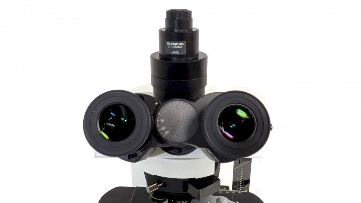Olympus BX51TF Phase Contrast Biological Microscope [x1239724639]