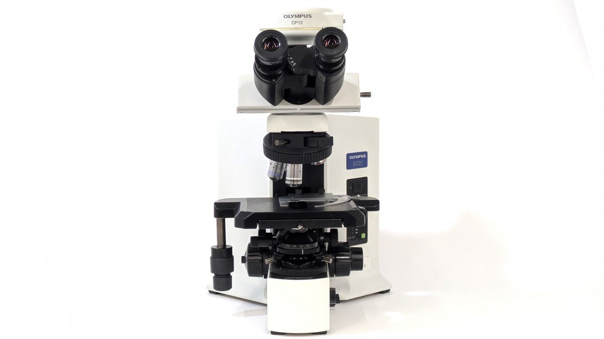Olympus BX51TF Biological Microscope [d1239746750]