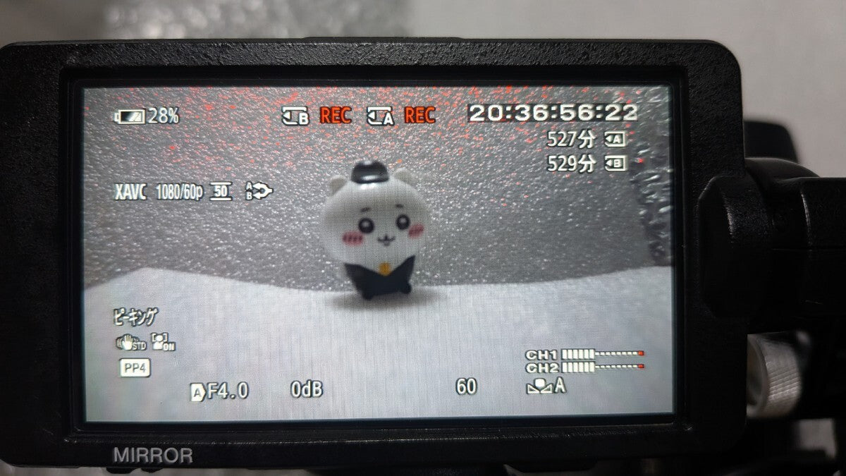 Sony PXW-FS5 Professional Camera [x1244637561]