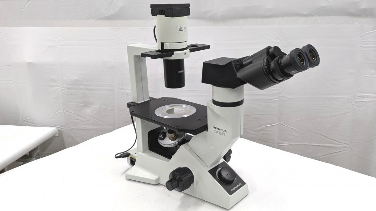 Olympus CKX41SF Inverted Microscope [u1248274196]