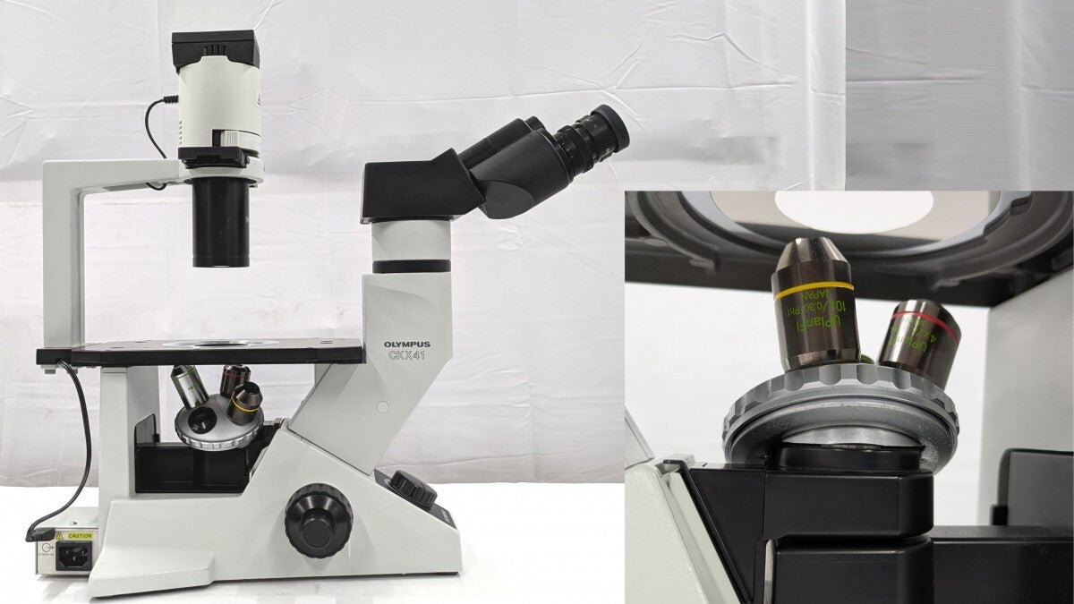 Olympus CKX41SF Inverted Microscope [u1248274196]