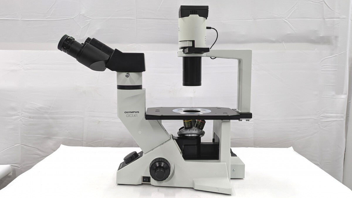 Olympus CKX41SF Inverted Microscope [u1248274196]