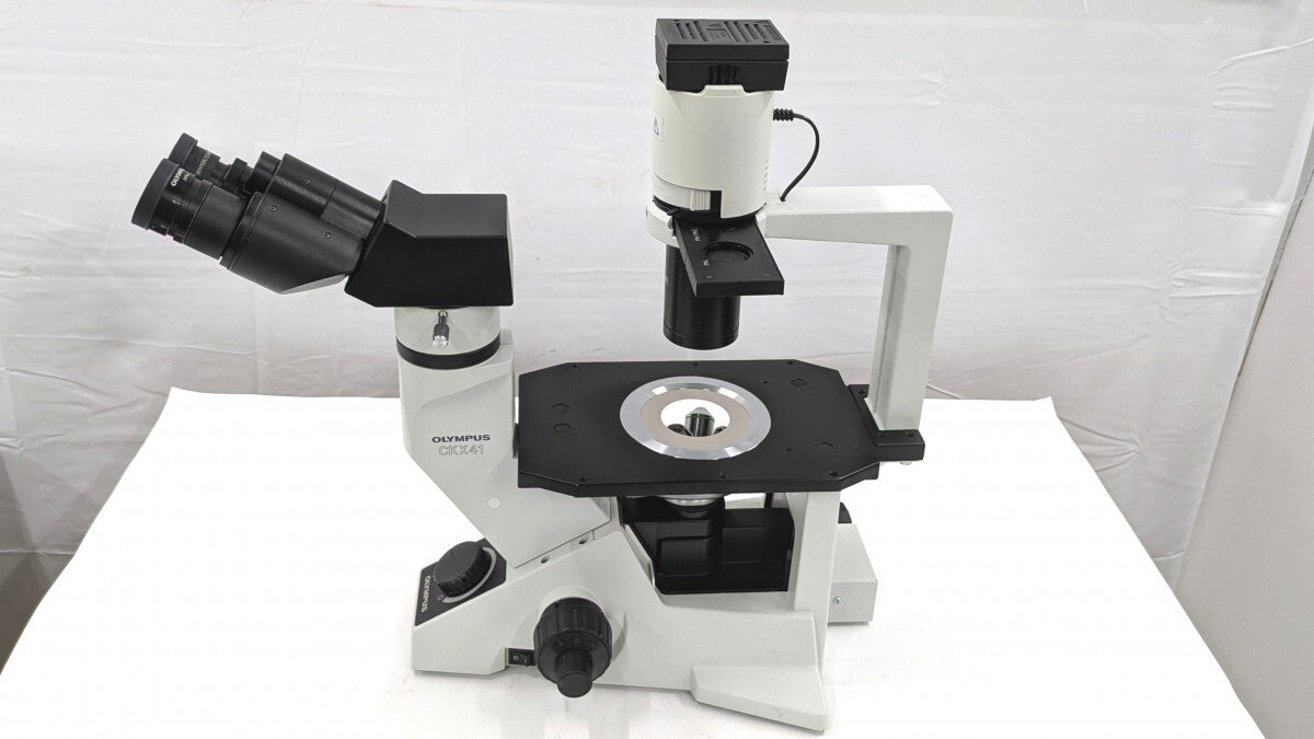 Olympus CKX41SF Inverted Microscope [u1248274196]