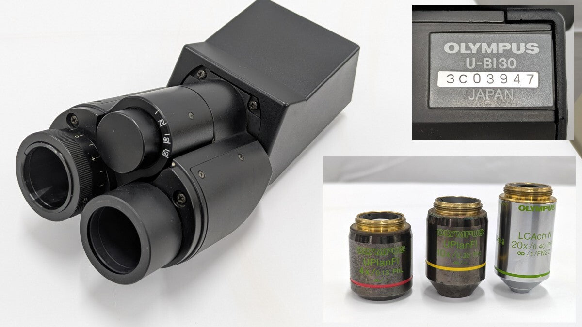 Olympus CKX41SF Inverted Microscope [u1248274196]
