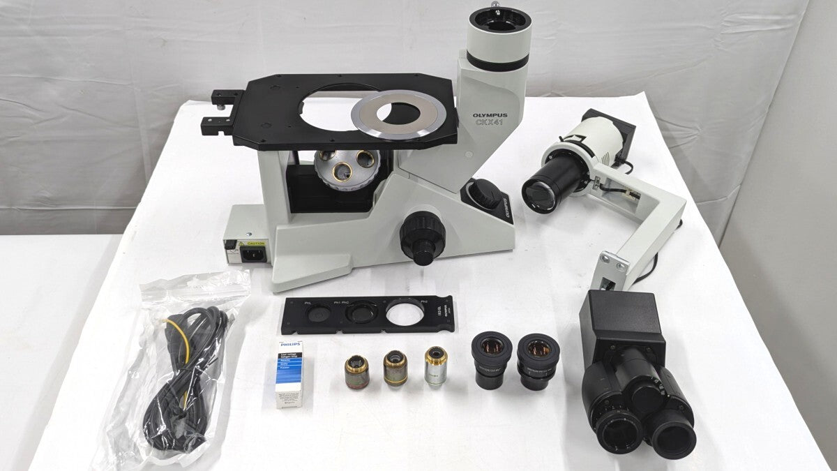 Olympus CKX41SF Inverted Microscope [u1248274196]