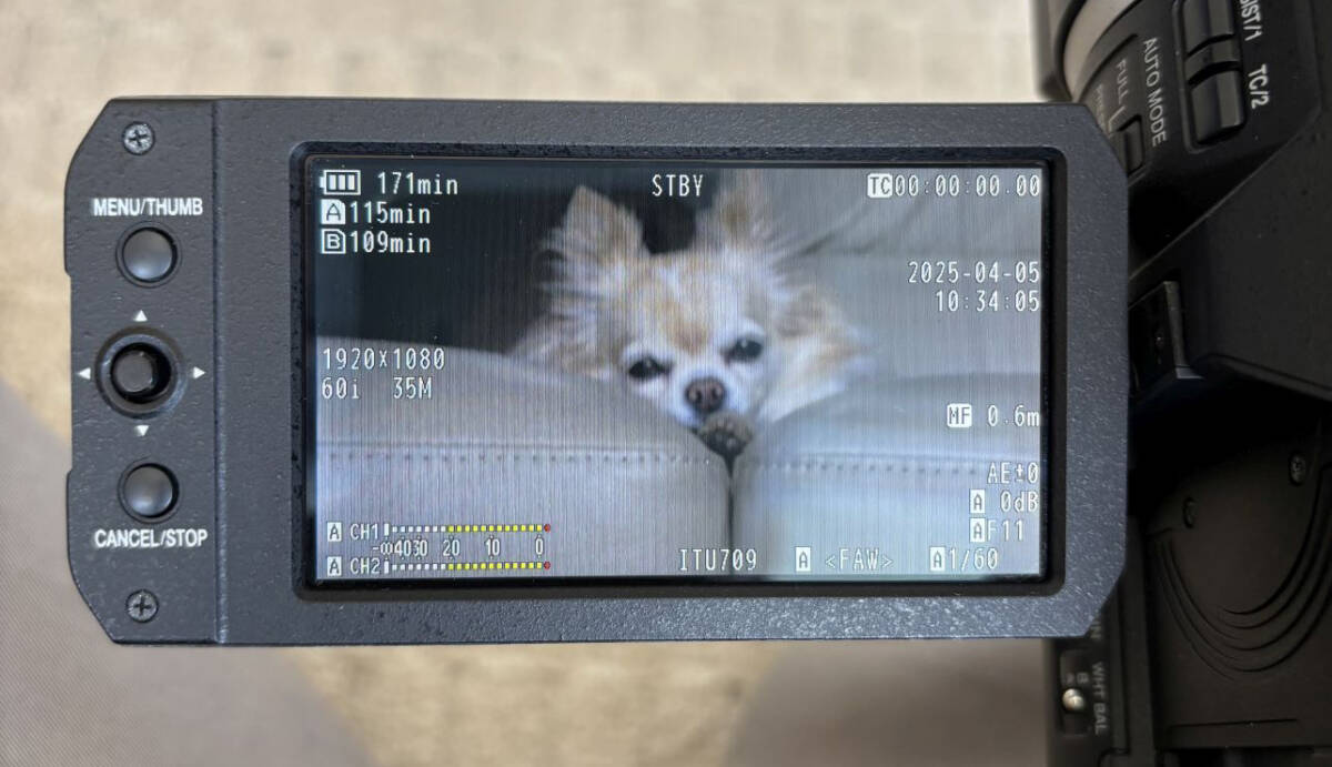 JVC GY-LS300CH 4K Memory Card Camera Recorder [v1191315067]