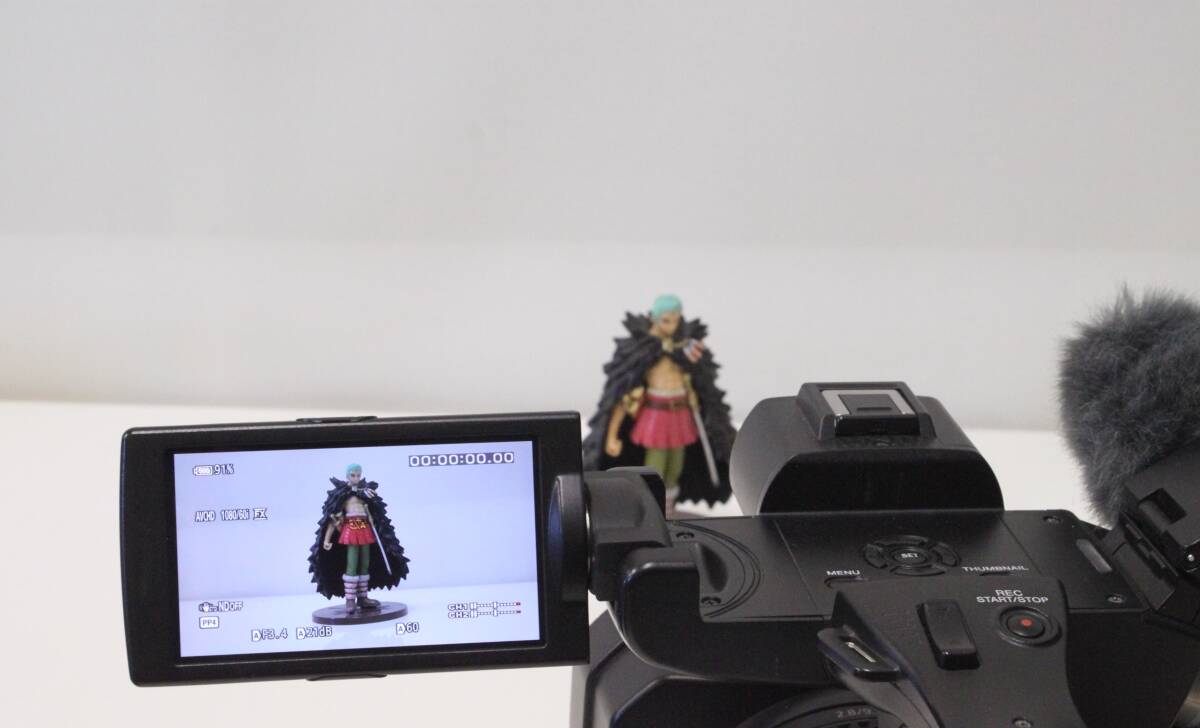 SONY HXR-NX100 Camcorder with SONY ECM-MS2 Condenser Microphone and Battery [g1217191565]