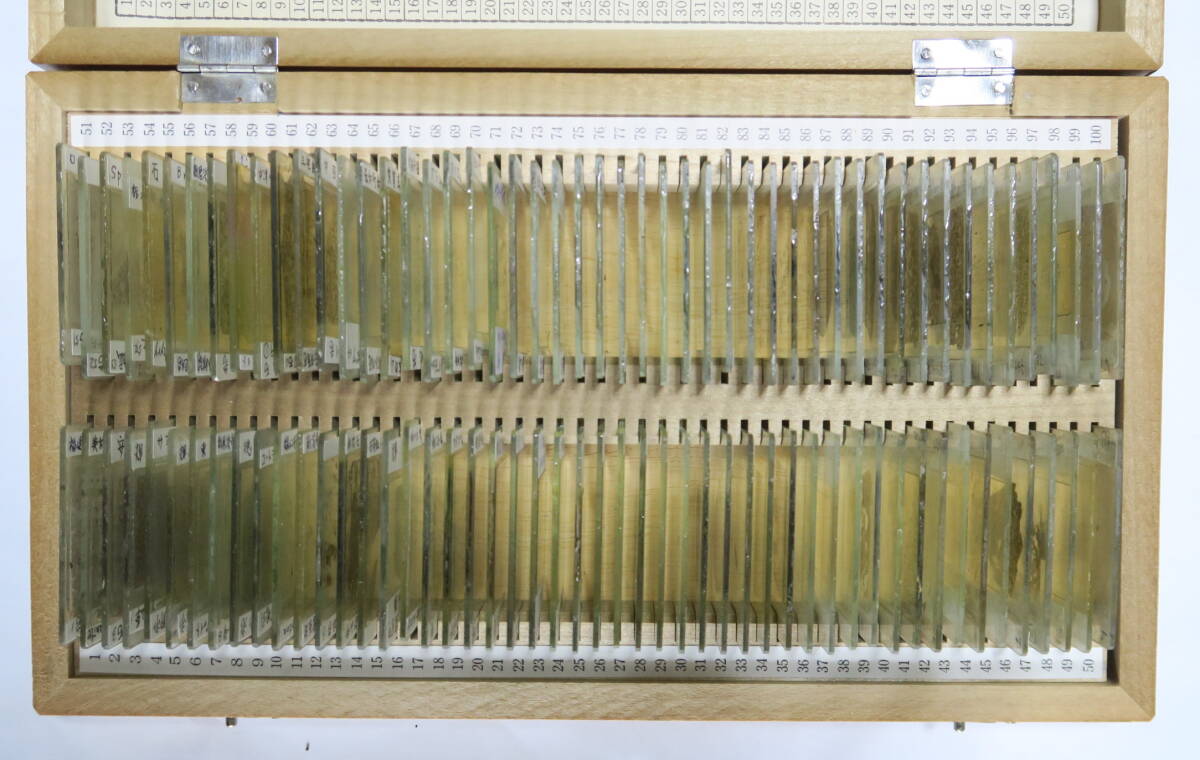 Rock Thin Section Set 100 pcs for Polarizing Microscope [p1246098550]