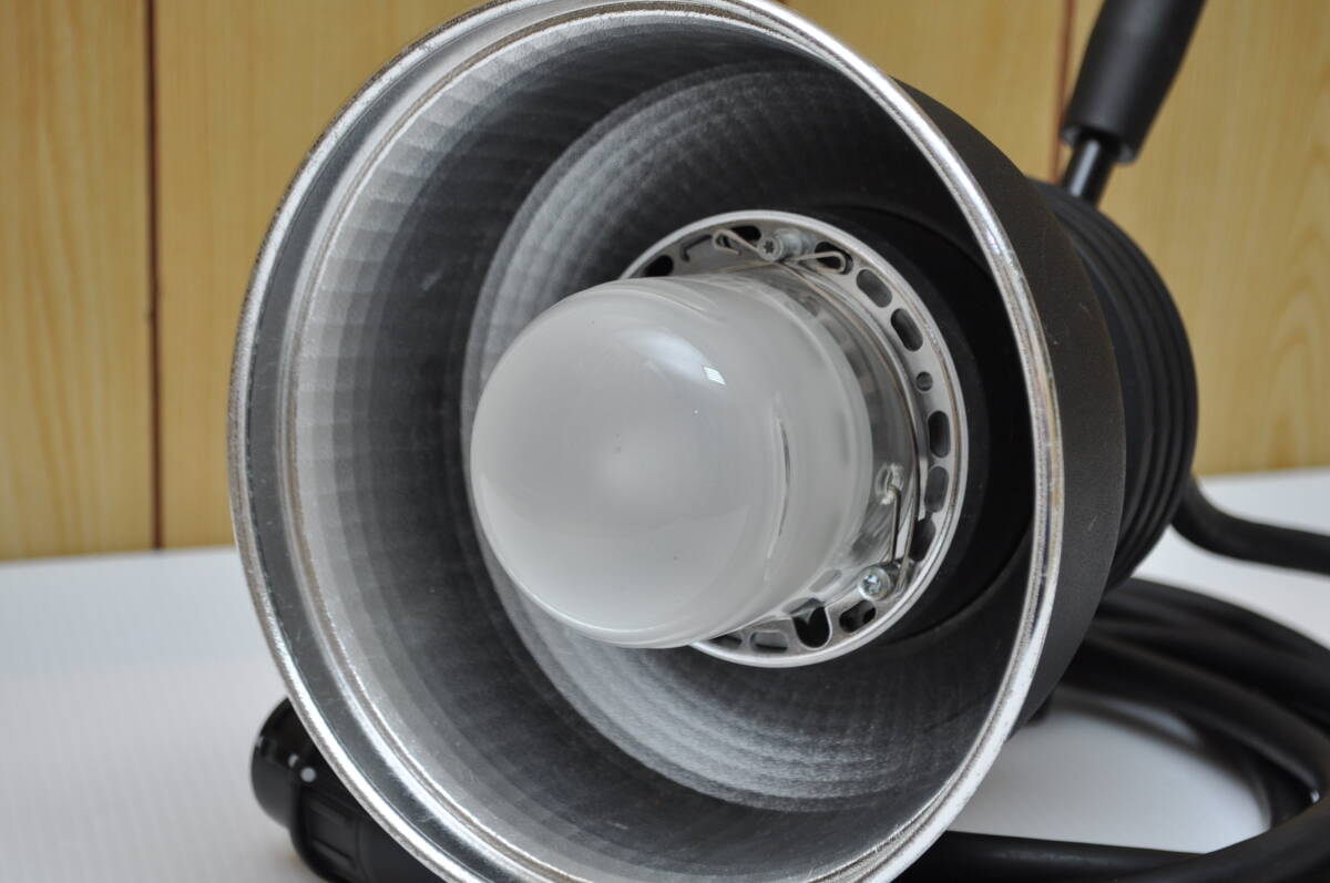 Profoto Pro-10 2400 AirTTL Strobe Head Set with ProHead Plus Zoom Reflector [t1249460102]