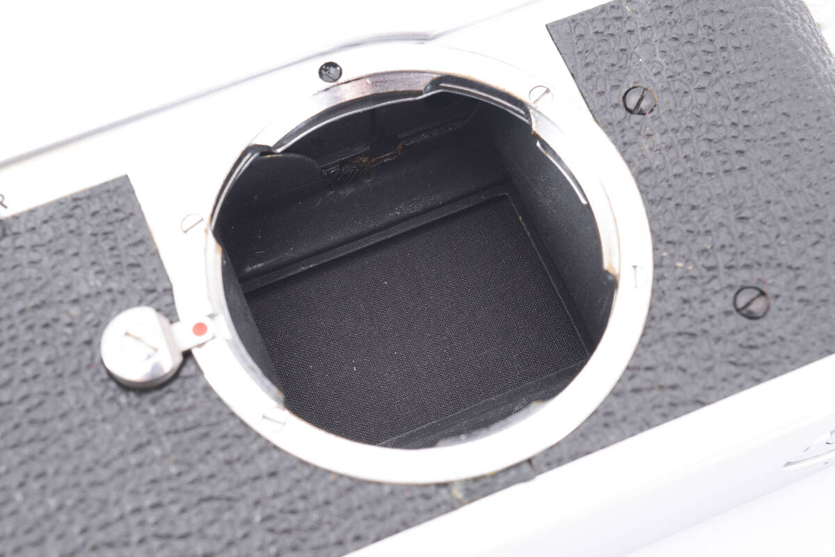 Leica MD Film Camera Body #230802h [u1154147240]
