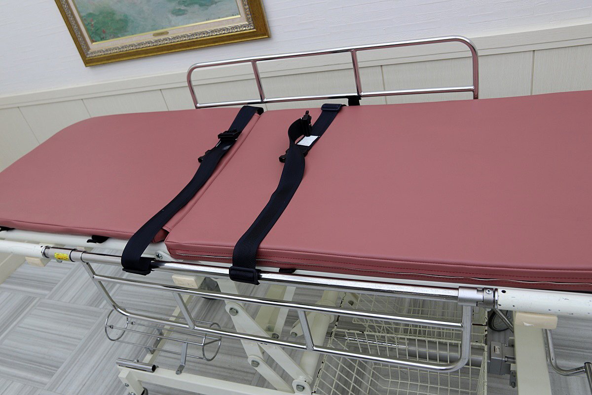 Ogawa M-801 High Low Stretcher Hospital Emergency Transport Bed [v1205434068]