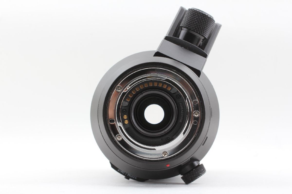 Panasonic LEICA DG VARIO-ELMAR 100-400mm F4.0-6.3 II ASPH POWER O.I.S. [m1205459557]