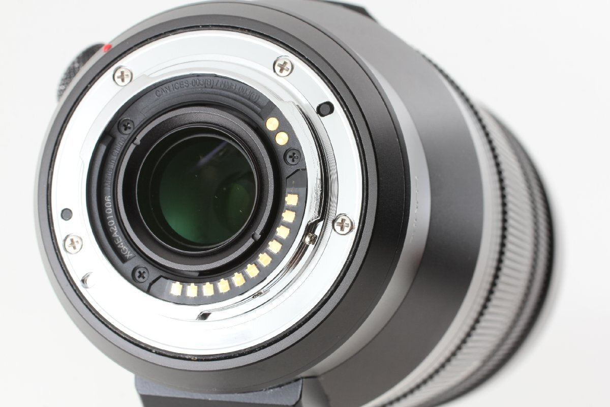 Panasonic LEICA DG VARIO-ELMAR 100-400mm F4.0-6.3 II ASPH POWER O.I.S. [m1205459557]