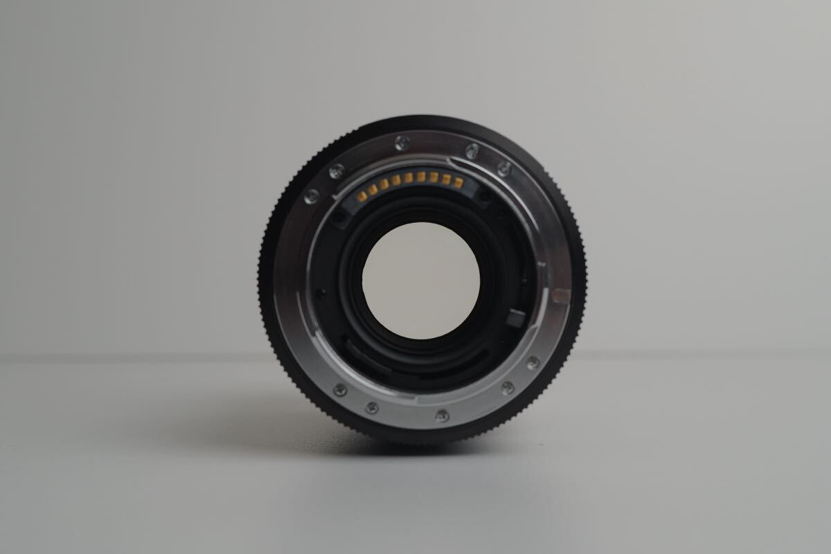 Leica APO-MACRO-ELMARIT-R F2.8 100mm Lens [l1211050462]