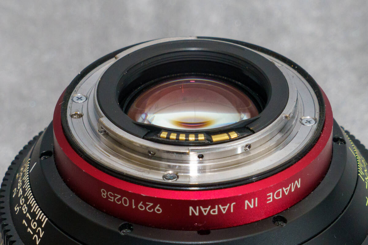 Canon CN-E24mm T1.5 L Cinema Lens [x1213943516]
