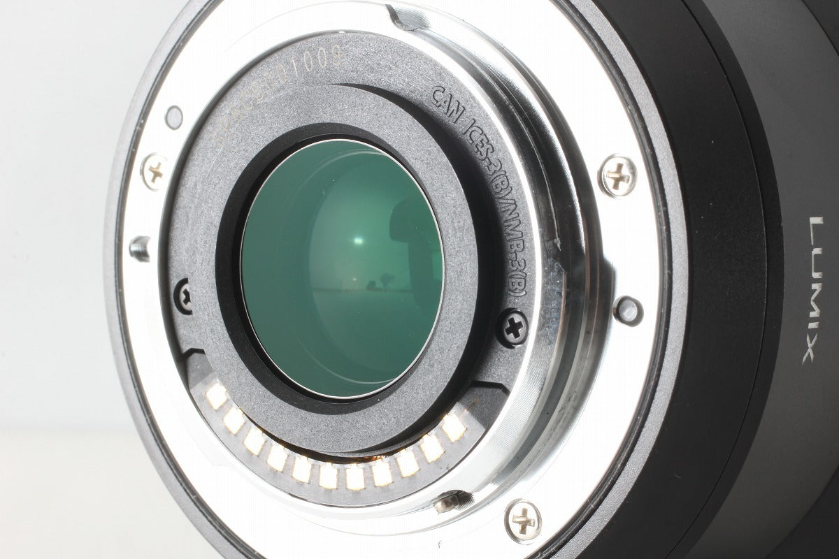 Panasonic LEICA DG VARIO-ELMAR 100-400mm F4.0-6.3 ASPH. H-RS100400 Lens [k1216175403]