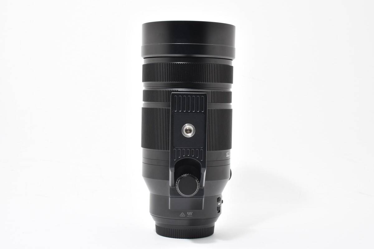 Panasonic Leica DG Vario-Elmar 100-400mm f4-6.3 Asph Power OIS [g1217729358]