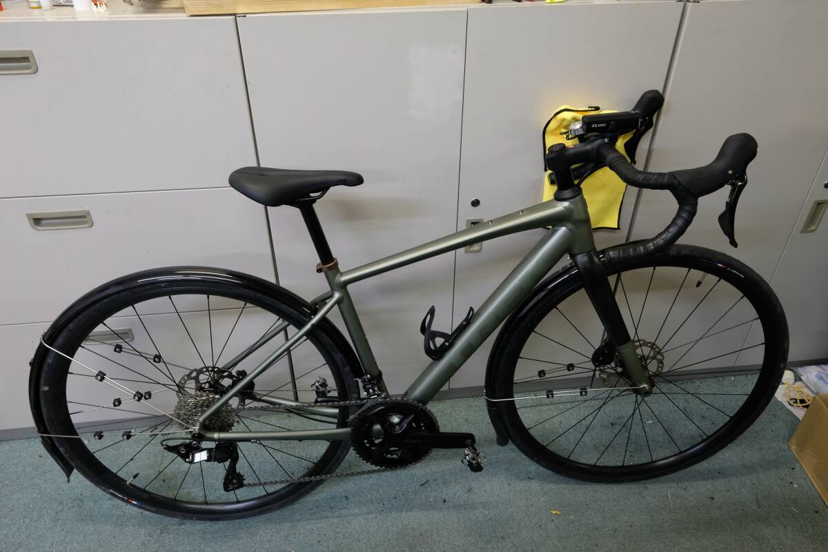 TREK DOMANE AL5 105 12 Speed 49 Size Green 2024 Model [c1220469452]