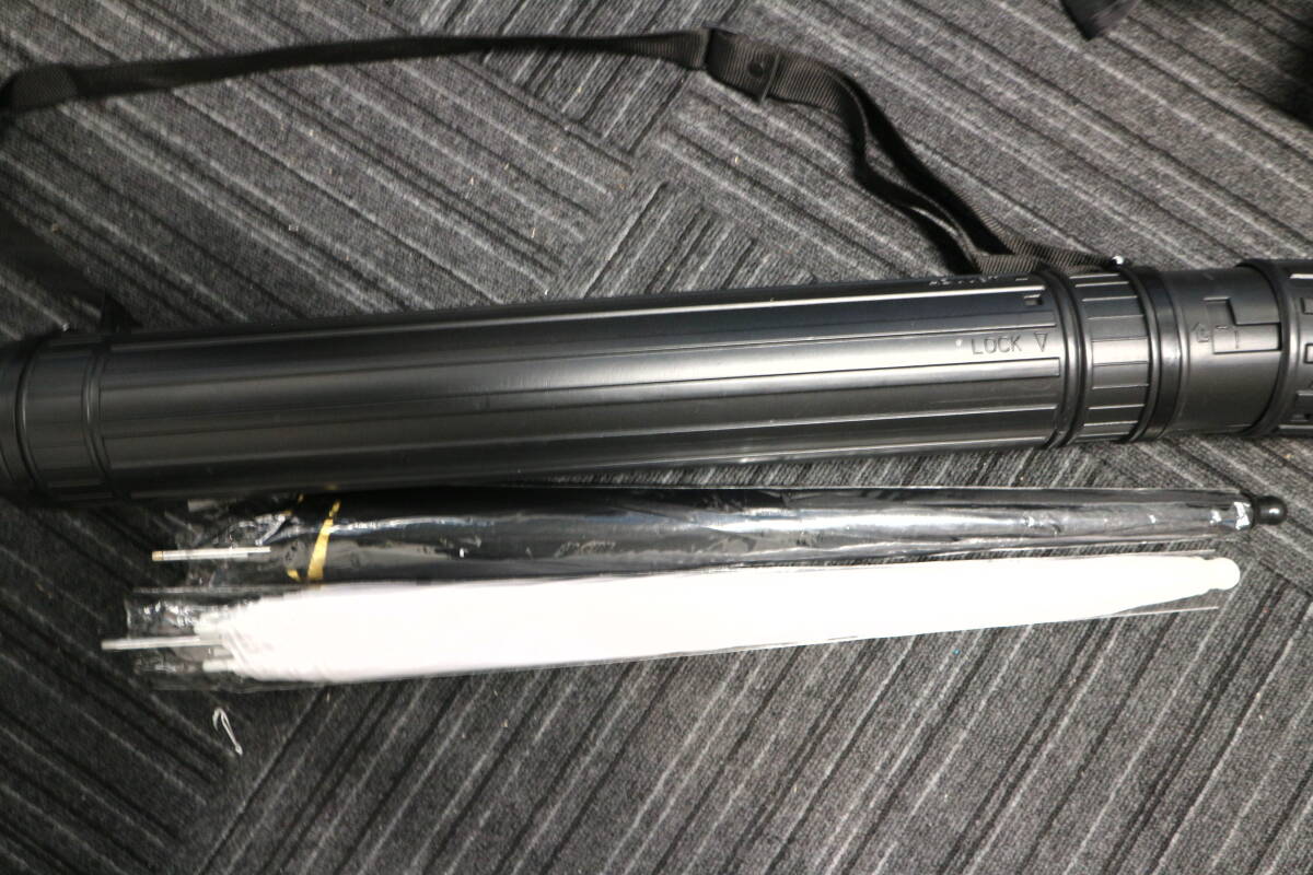 Profoto D1 500 Air Strobe with Bag 2 Units (as-is) [f1242037113]