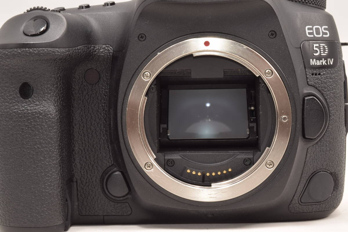 Canon EOS 5D Mark IV Digital Camera Body [l1154331781]