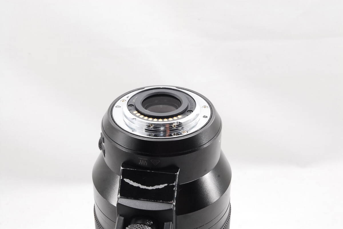 Panasonic LEICA DG VARIO-ELMAR 100-400mm F4.0-6.3 ASPH POWER O.I.S Super Telephoto Zoom [e1185814882]