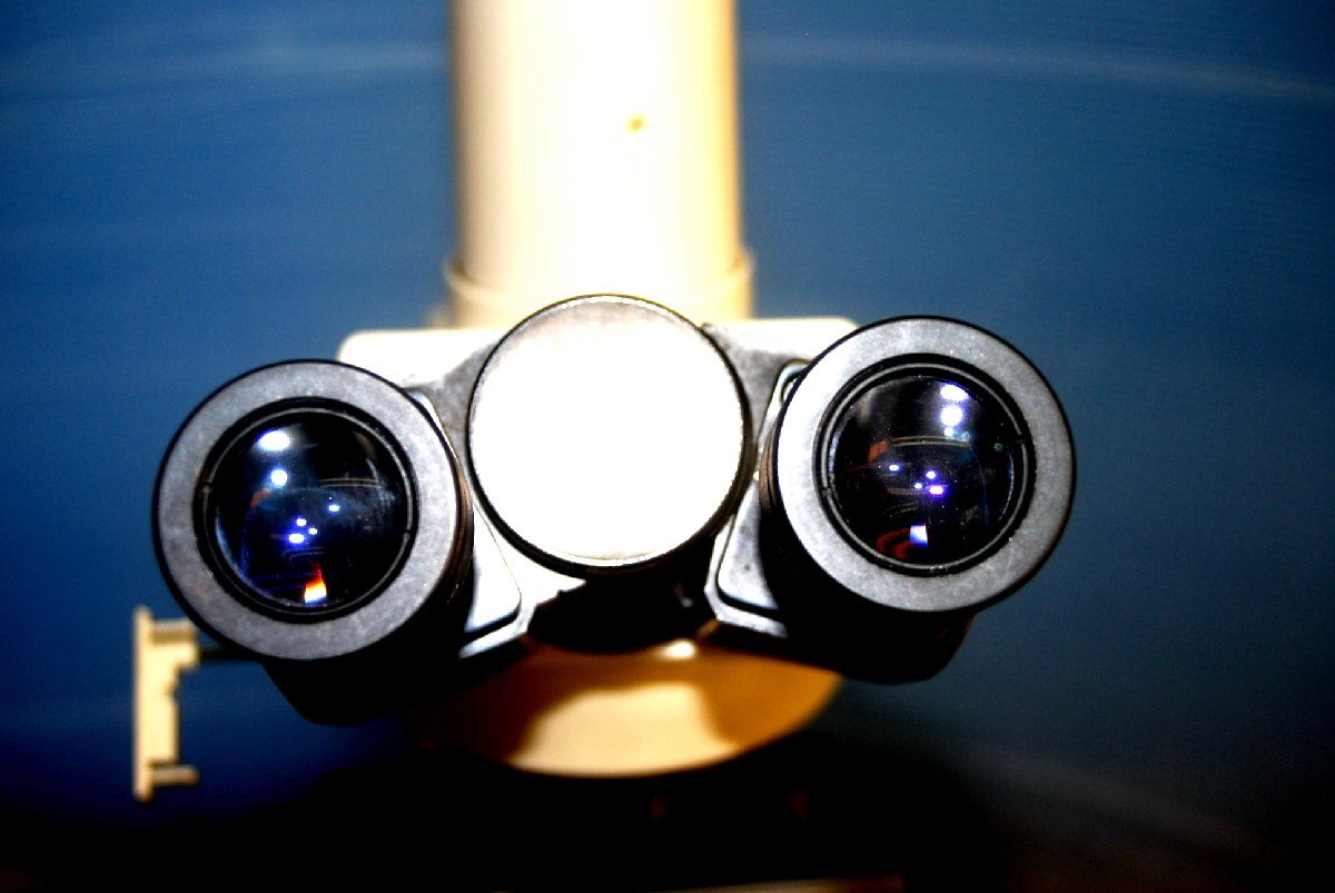 Nikon X2F21ph Phase Contrast Microscope [s1199026589]