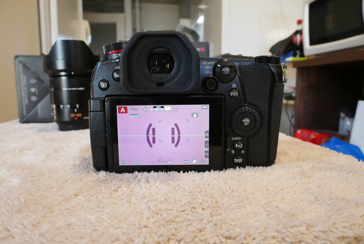 Panasonic LUMIX G9Pro LEICA DG VARIO-ELMARIT 12-60mm F2.8-4.0 ASPH POWER O.I.S. [d1217137750]