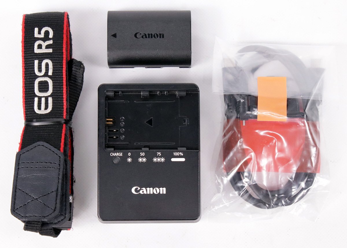 Canon EOS R5 Mirrorless Camera Shutter Count Under 132100 [w1241857692]