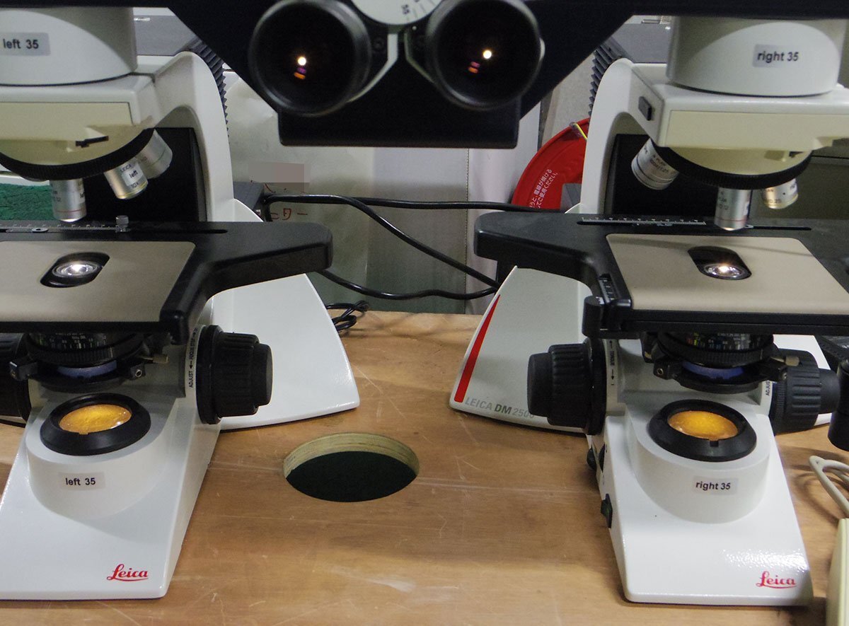 Leica FS CB Comparison Microscope DM2500 FS4000 with DFC290HD Digital Camera [f1221607675]