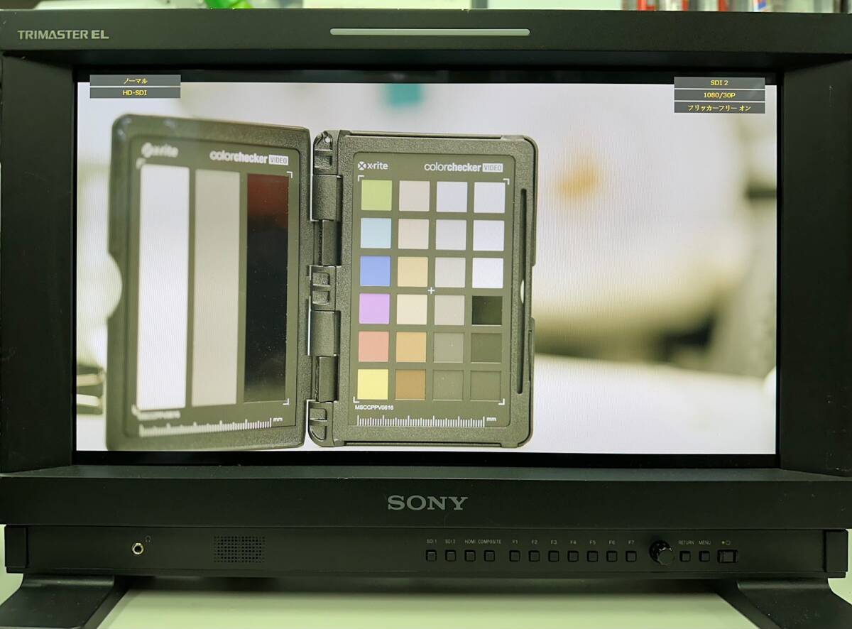 Sony PVM-1741 Commercial Organic EL Monitor 17 inch [m1185002113]