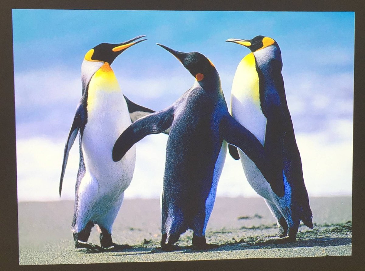 SONY VPL-FHZ75 Data Projector [f1192733652]