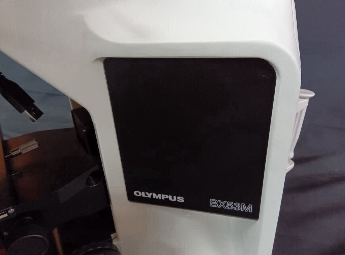 Olympus BX53MTRF-S Microscope [n1243266940]