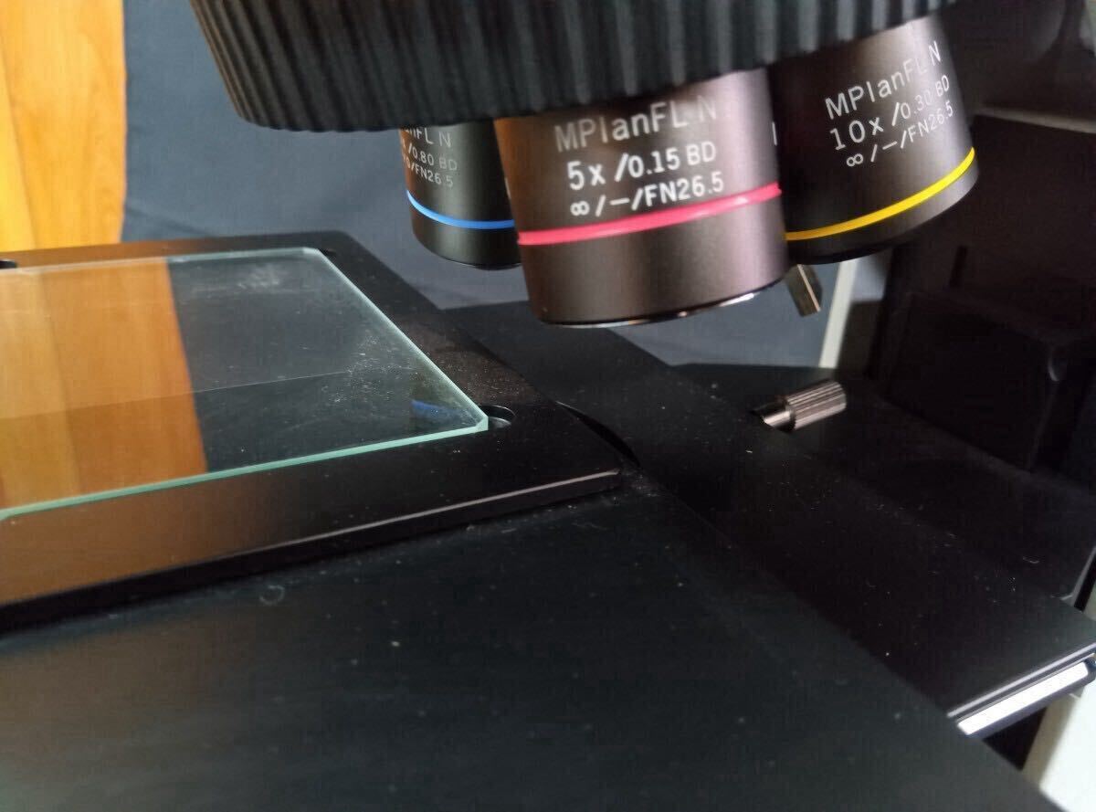 Olympus BX53MTRF-S Microscope [n1243266940]